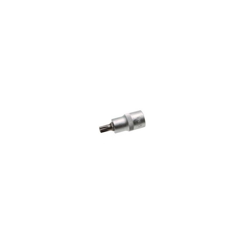 1/2" Bitshylsy Ribe R10 x 55 mm