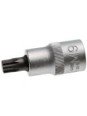 1/2 Bitshylsy 12-kulmainen spline  M5 x 53mm (XZN)