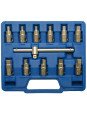 12-piece Universal Drain Plug Key Set