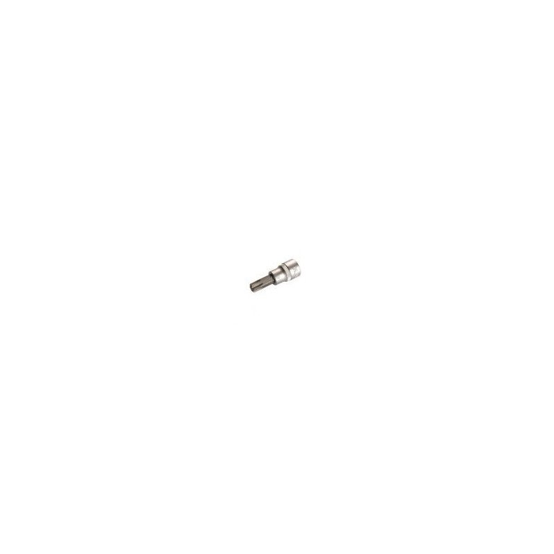 3/8" Bitshylsy Torx T55