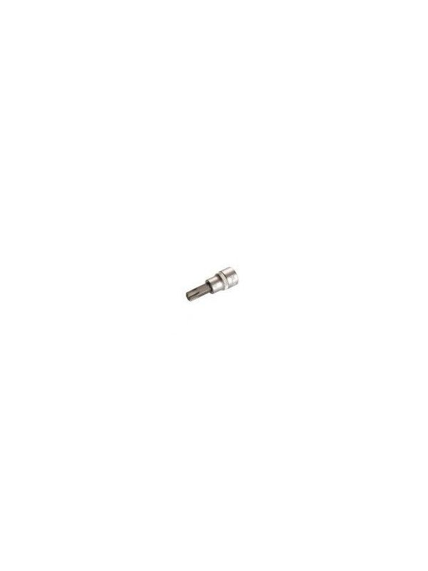 3/8" Bitshylsy Torx T55