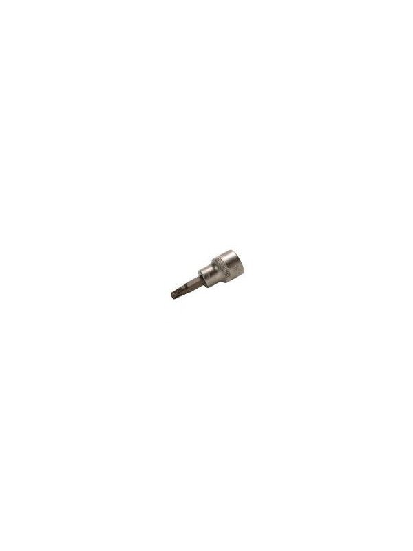 3/8" Bitshylsy Torx T40