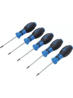 Reikätorx-ruuvimeisselisarja 5-os