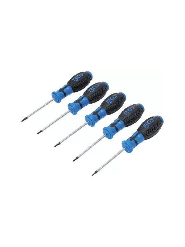 Reikätorx-ruuvimeisselisarja 5-os