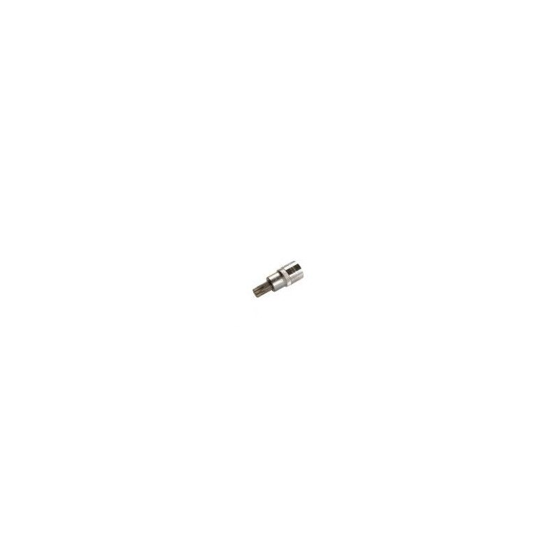 1/2 Hylsy Torx 53 mm T55