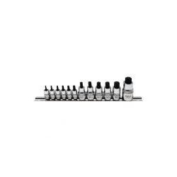 12-piece T-Star Bit Socket Set, extra short, T8 - T60